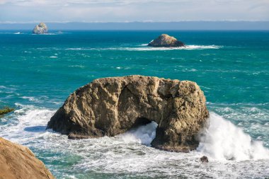 Pasifik Sahil peyzaj