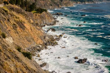 Pasifik Sahil peyzaj