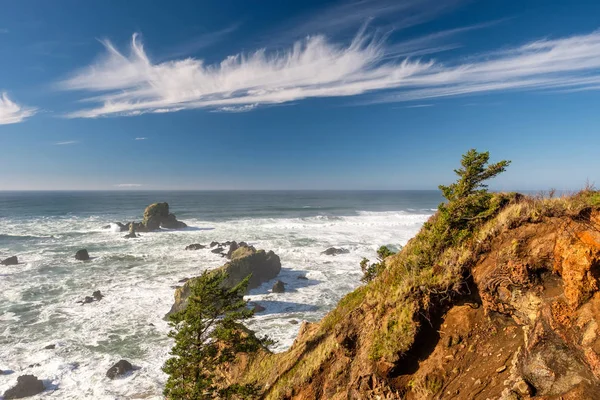 Pacific coast landscape — Stock Photo, Image