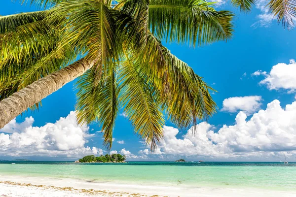 Tropikalna wyspa na Seszele — Zdjęcie stockowe