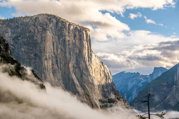 约塞米蒂国家公园的El Capitan岩石 — 图库照片