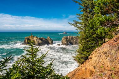 USA Pacific coast landscape clipart