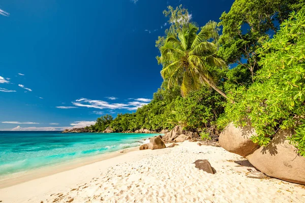 Танцевальный пляж на Сейшельских островах — стоковое фото