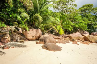 güzel plaj, Seyşel Adaları