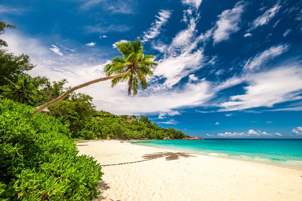 Hermosa playa Anse Intendance — Foto de Stock