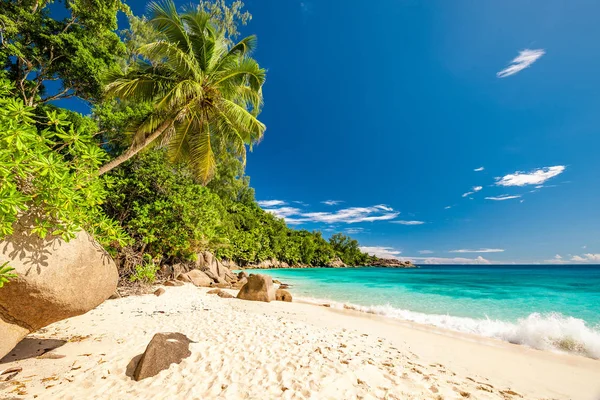 Schöner anse intendance Strand — Stockfoto