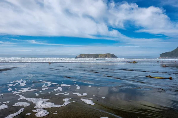 USA Pacific coast landscape — Stock Photo, Image