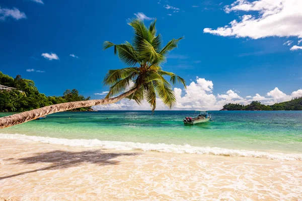 Güzel anse intendance beach — Stok fotoğraf