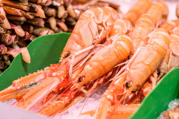 Langoustinos frescos y almejas de afeitar — Foto de Stock