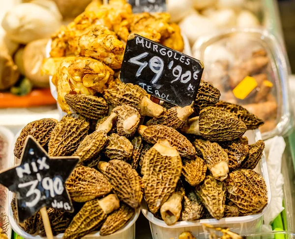 Setas Morel (morchella) en el mercado de Barcelona —  Fotos de Stock