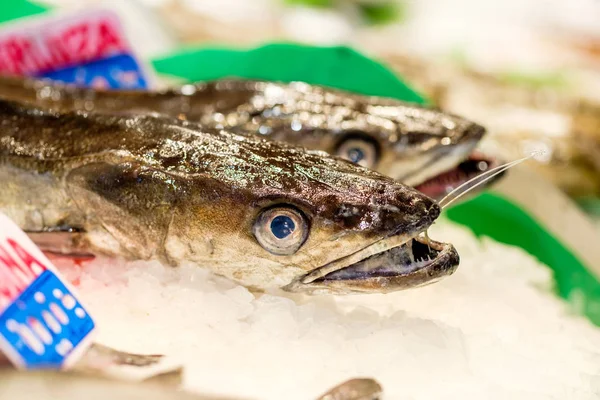 Färsk fisk på marknaden display — Stockfoto