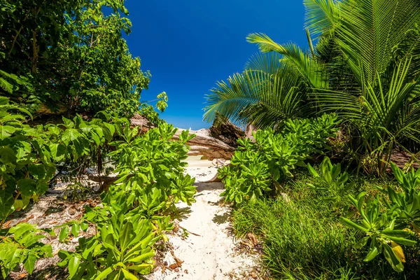 Gyönyörű tengerpart, a Seychelle-szigetek — Stock Fotó