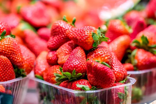 Świeże truskawki, na sprzedaż w witrynie marketplace — Zdjęcie stockowe
