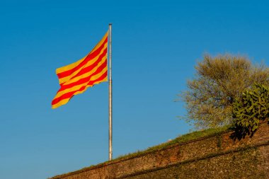 Catalonia flag waving on the wind  clipart