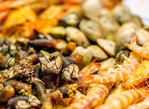 Langoustinesand skal på fiskmarknaden — Stockfoto