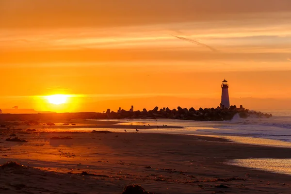 Santa Cruz Breakwater Light ao nascer do sol — Fotografia de Stock