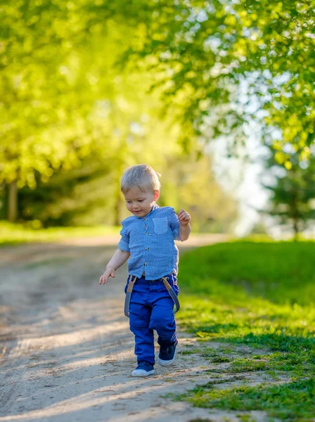 Toddler boy in summer park — Stock Photo, Image