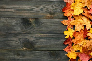 Sonbahar yaprakları ile ahşap plakalar 