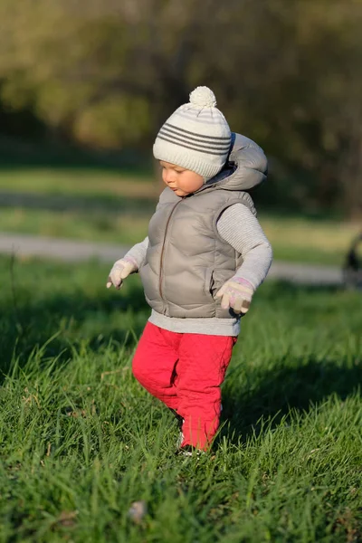 Småbarnsgutt i vest – stockfoto