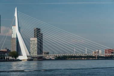 Rotterdam cityscape manzarası 