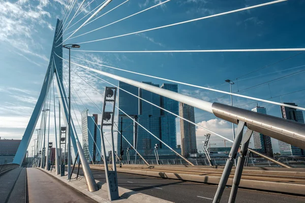 Rotterdams stadsbilden skyline — Stockfoto