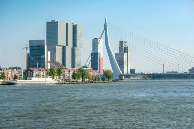 Rotterdam 'daki Erasmus Köprüsü 