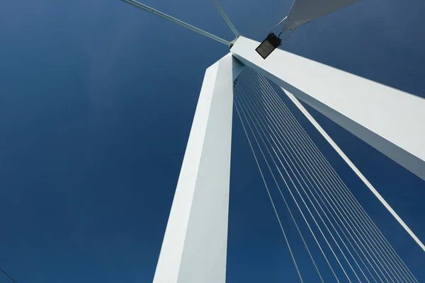 Erasmus bridge in Rotterdam — Stock Photo, Image