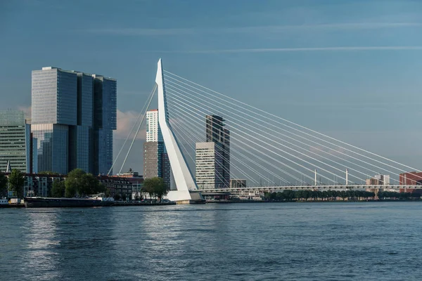 Erasmusbrücke in Rotterdam — Stockfoto