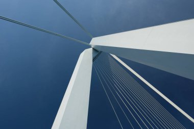 Rotterdam 'daki Erasmus Köprüsü 