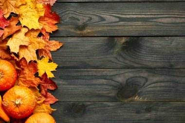 Sonbahar yaprakları ile ahşap plakalar 