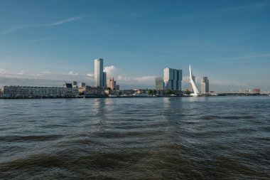 Rotterdam 'daki Erasmus Köprüsü 