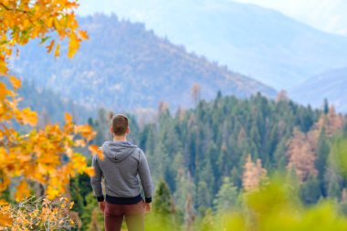 Sequoia National Park içinde hiking turizm 