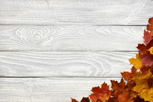 Деревянные доски с осенними листьями — стоковое фото