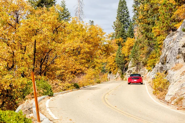Sequoia National Park Road