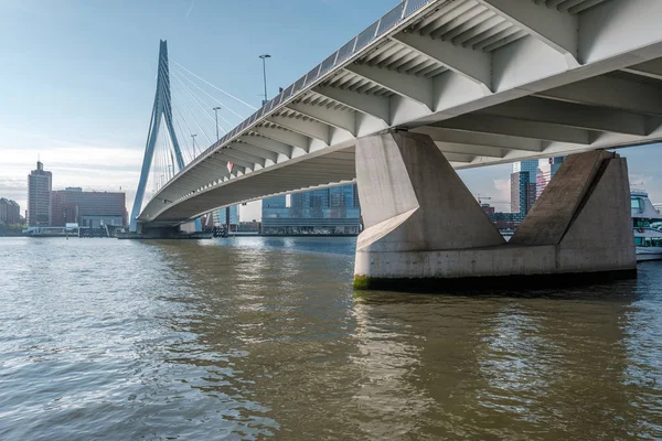 鹿特丹Erasmus桥 — 图库照片