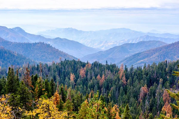 Yosemite National Park — Stock Photo, Image