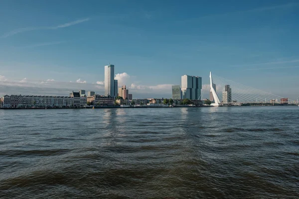 Rotterdam 'daki Erasmus Köprüsü — Stok fotoğraf