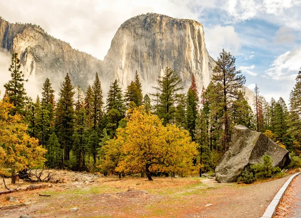 Park Narodowy Yosemite — Zdjęcie stockowe