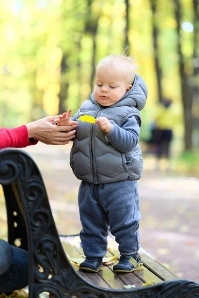 Niño pequeño y madre en el parque de otoño — Foto de Stock