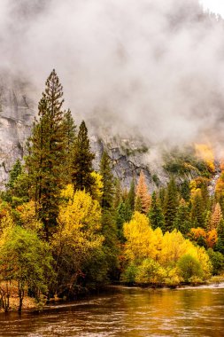 Yosemite Ulusal Parkı 