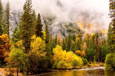 Yosemite Ulusal Parkı 