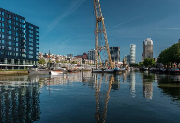 Linha do horizonte da paisagem urbana de Roterdão — Fotografia de Stock