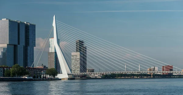 Γέφυρα Erasmus στο Ρότερνταμ — Φωτογραφία Αρχείου