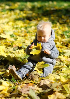 sonbahar parkta yürümeye başlayan çocuk