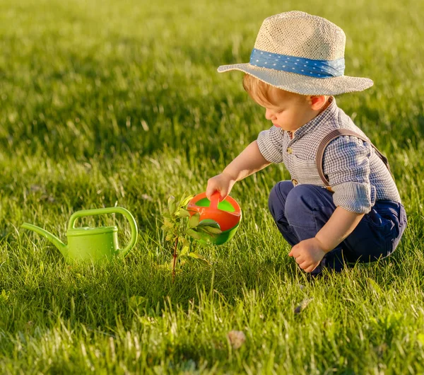 Toddler boy using watering can — Stock Photo, Image