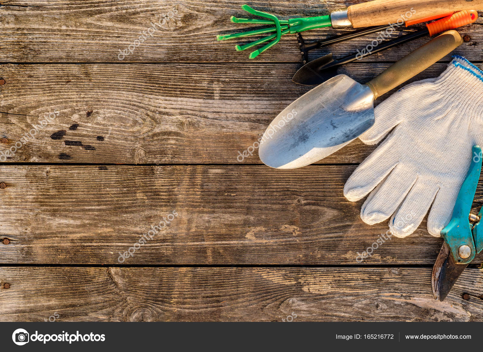 Gardening tools on wooden background — Stock Photo © haveseen 165216772