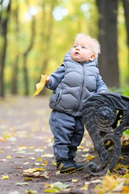 Sarı akçaağaç yaprağı ile erkek bebek