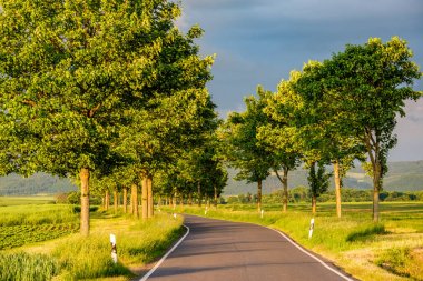 Rural road between fields clipart