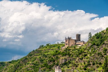 Eski yeşil orman tarafından çevrili kale