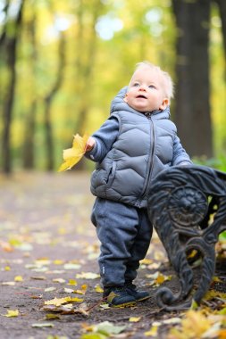 Sarı akçaağaç yaprağı ile erkek bebek